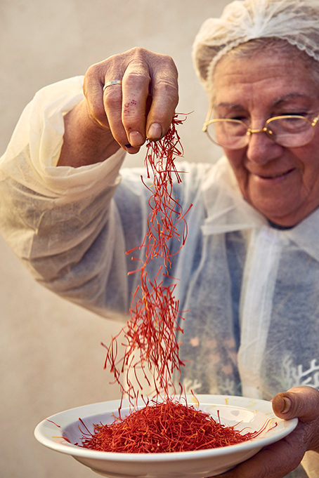 Arbeiterin lässt die frisch ausgelösten Safranfäden in ein Teller fallen (Foto)