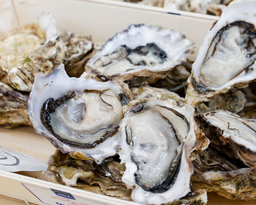 Oysters (Foto)