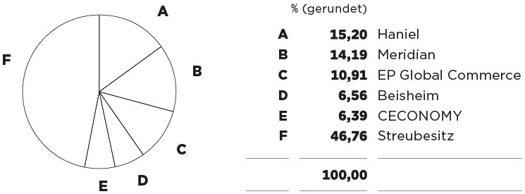 Aktionärsstruktur (Tortendiagramm)
