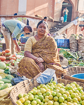 Indische Frau sitzend umringt von ihren Waren am Markt – frisches Obst und Gemüse (Foto)