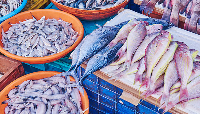 Marktware – Fische (Foto)